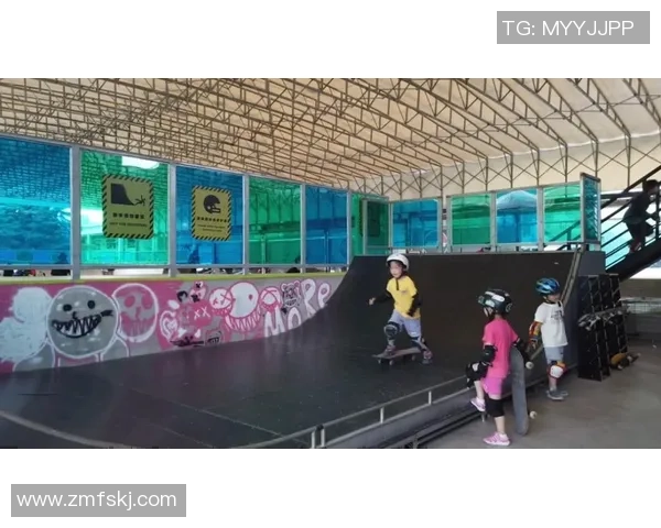 专访刘静：解密滑板成功之道