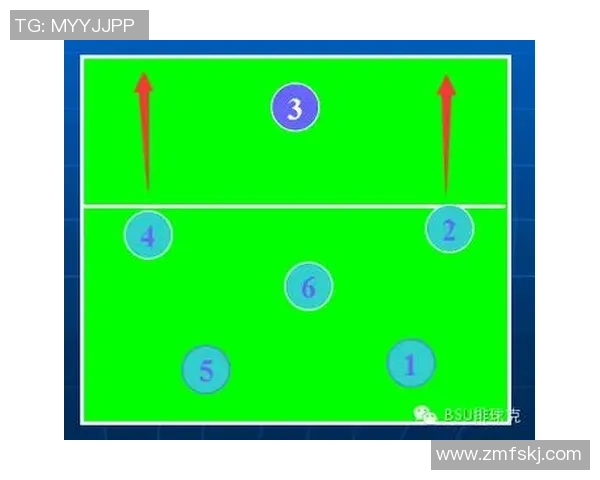 排球巨献：探秘南京排球队的战术